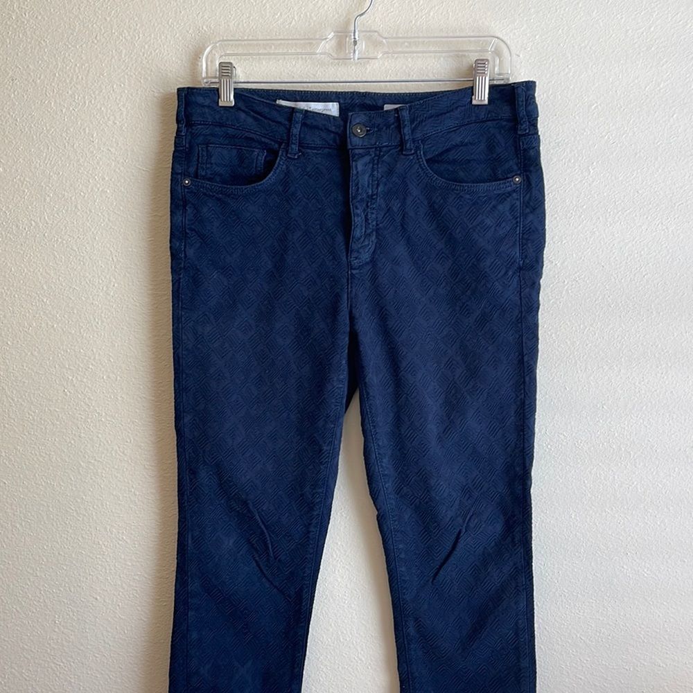 Pilcro and The Letterpress Script Jeans